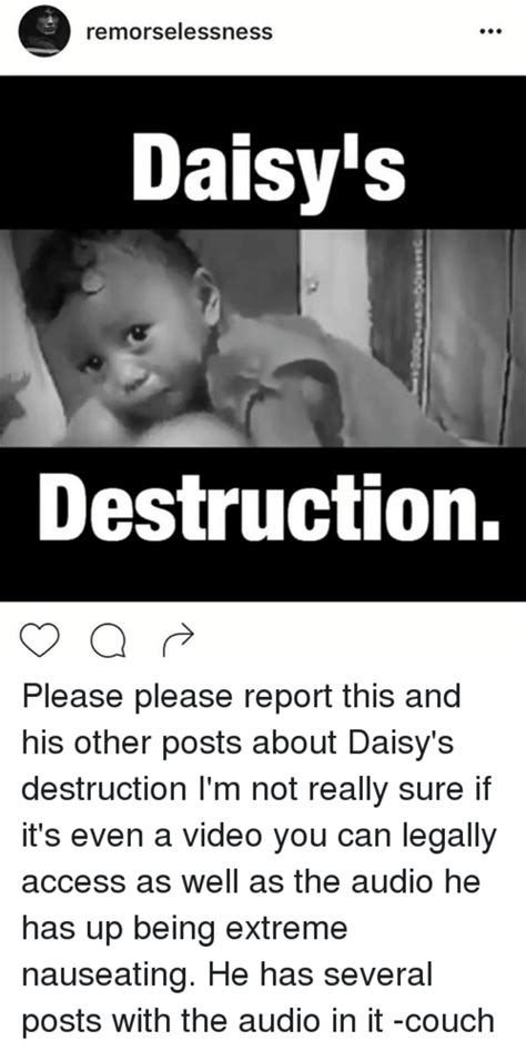 daisy destroyer|Daisys Destruction, a supposed video of a very young child being ...